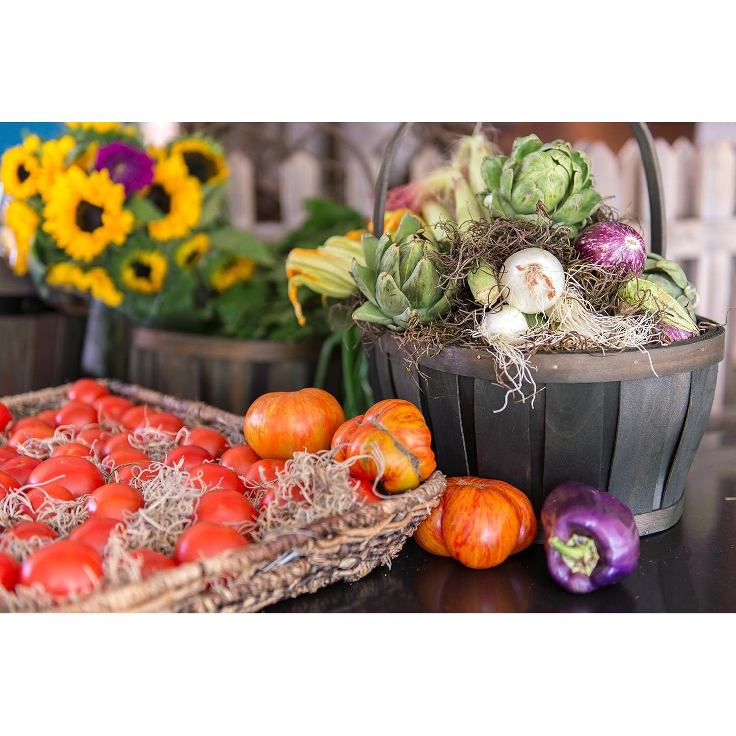 Musgo Español Seco SuperMoss 226.8g - Decoración Natural