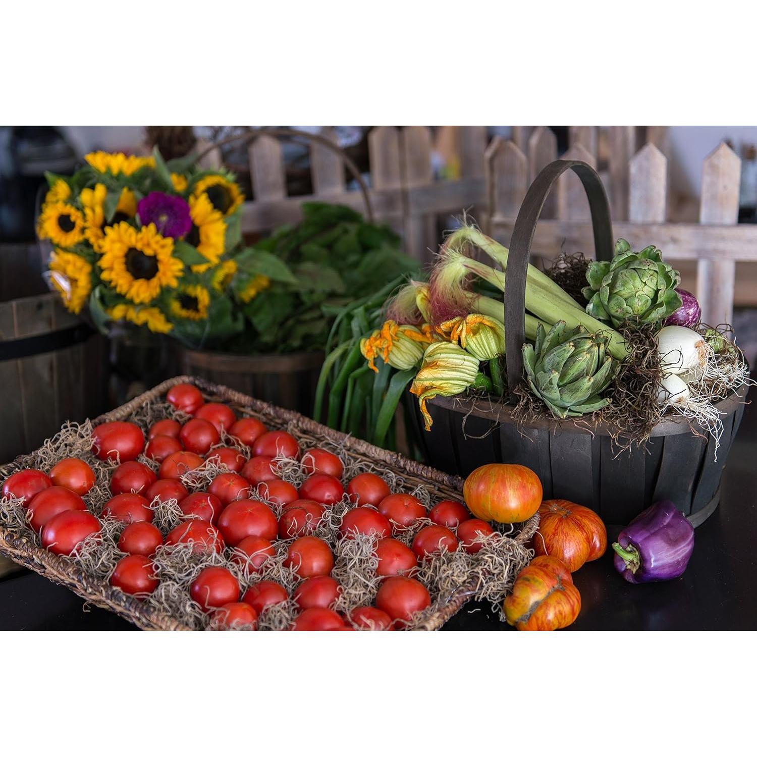 Musgo Español Seco SuperMoss 226.8g - Decoración Natural