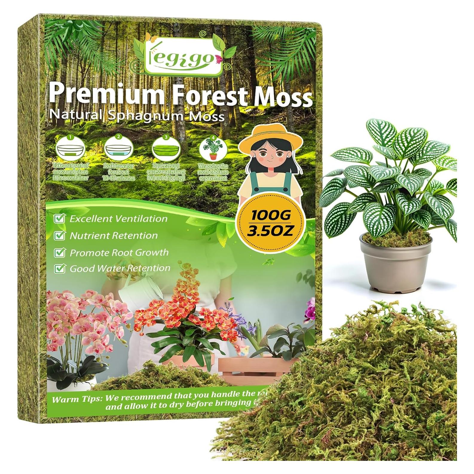 Musgo Verde Natural Legigo 99.22 g para Manualidades DIY