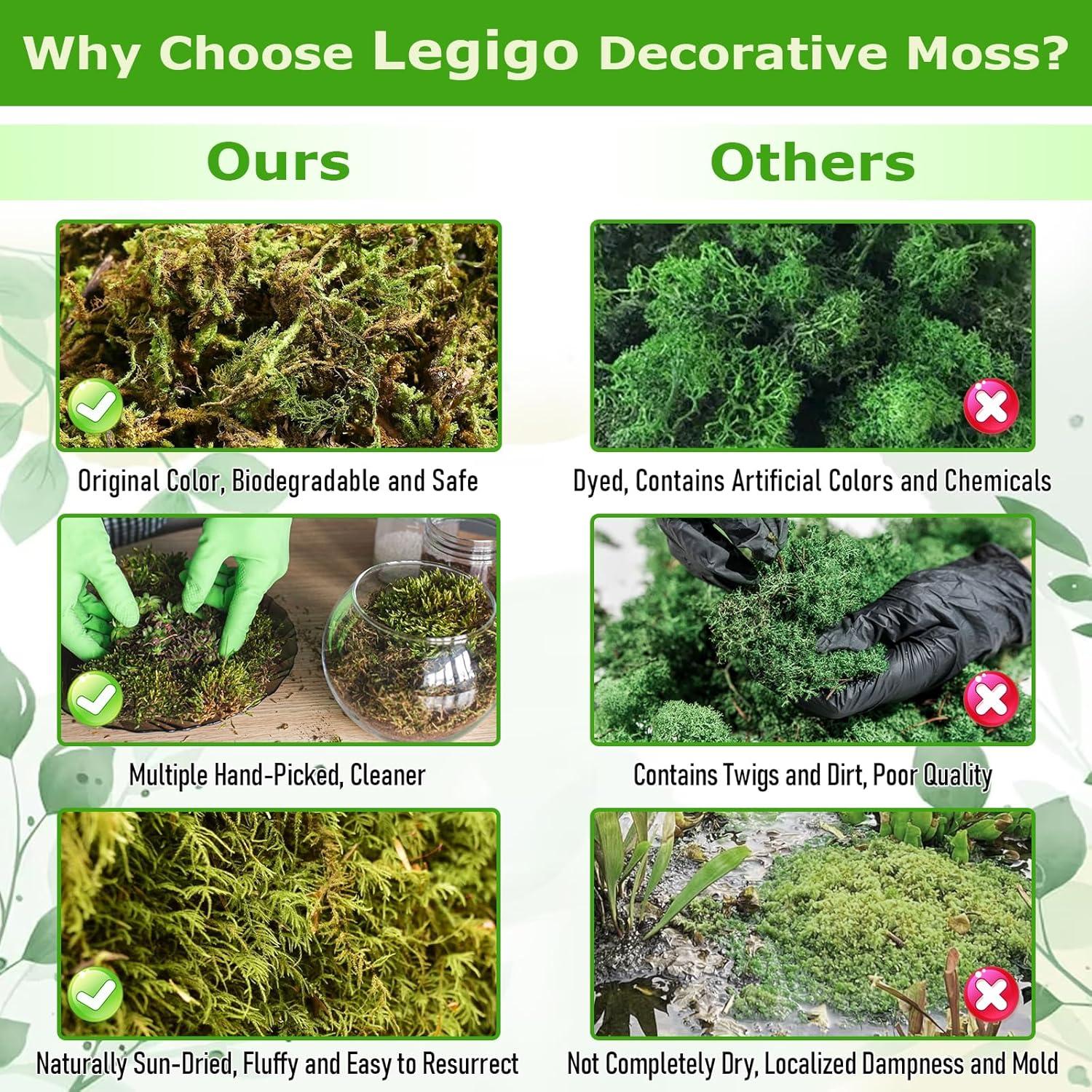 Musgo Verde Natural Legigo 99.22 g para Manualidades DIY