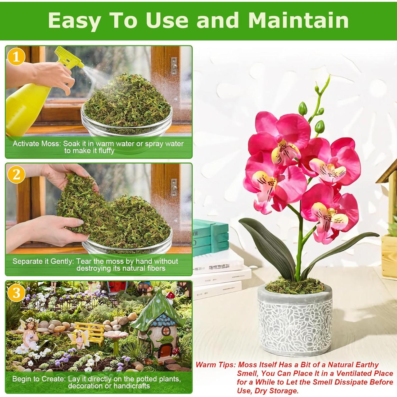 Musgo Verde Natural Legigo 99.22 g para Manualidades DIY