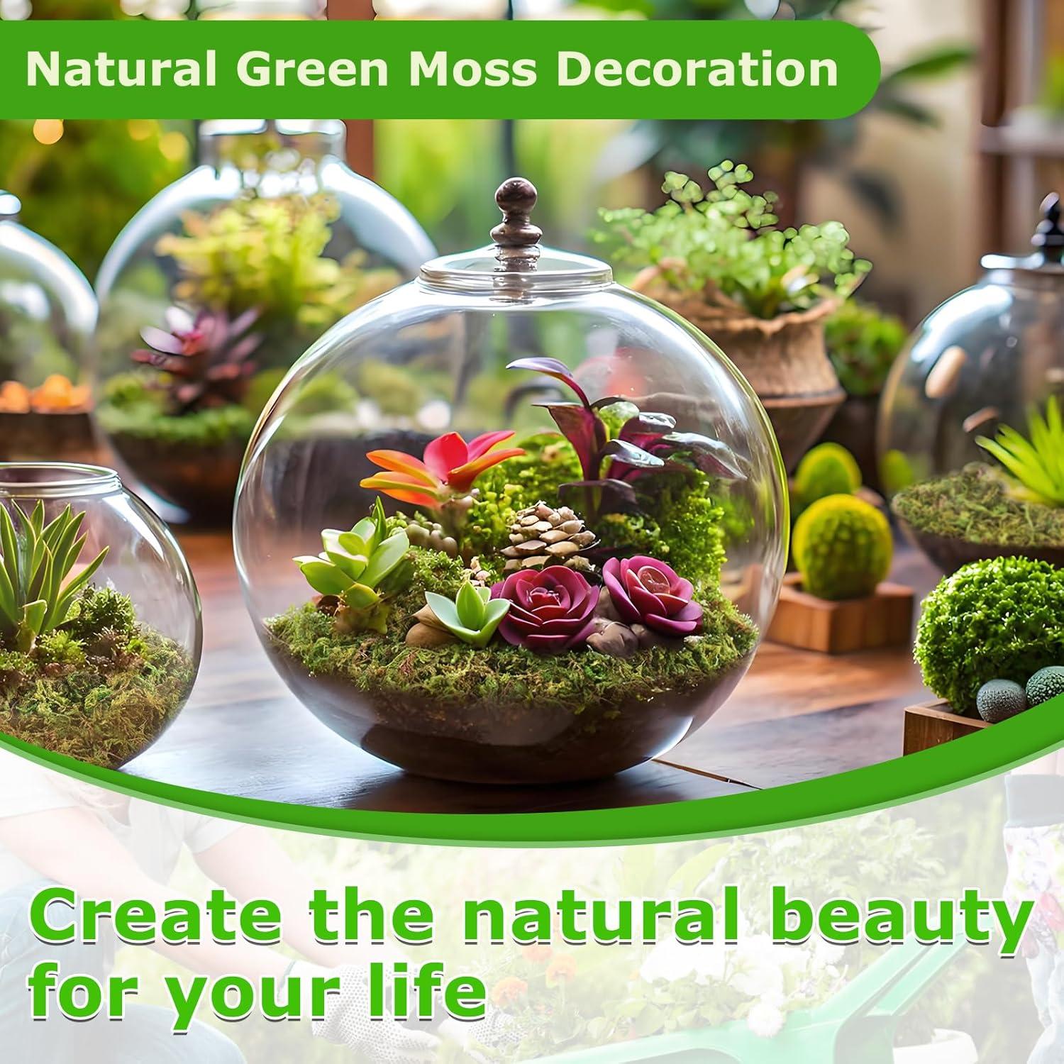 Musgo Verde Natural Legigo 99.22 g para Manualidades DIY