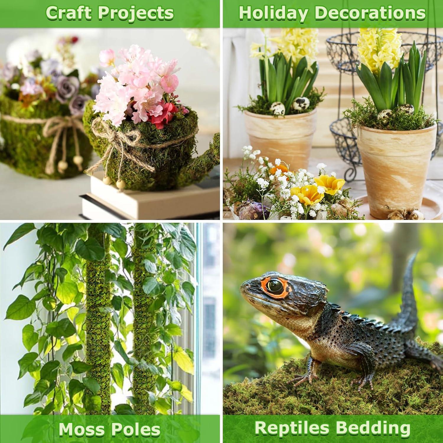 Musgo Verde Natural Legigo 99.22 g para Manualidades DIY