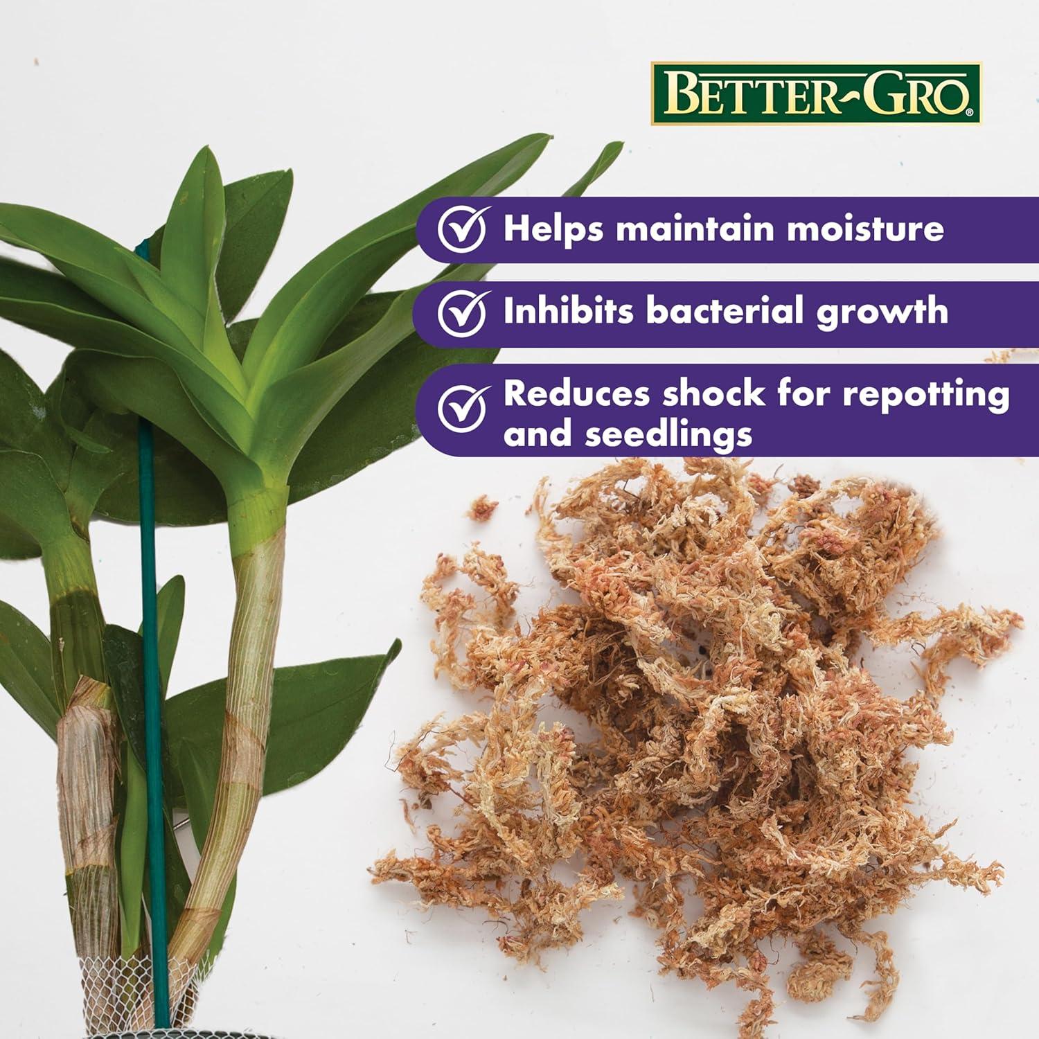 Musgo de Orquídea Mejor-Gro 1230.5 cm³ - 100% Natural