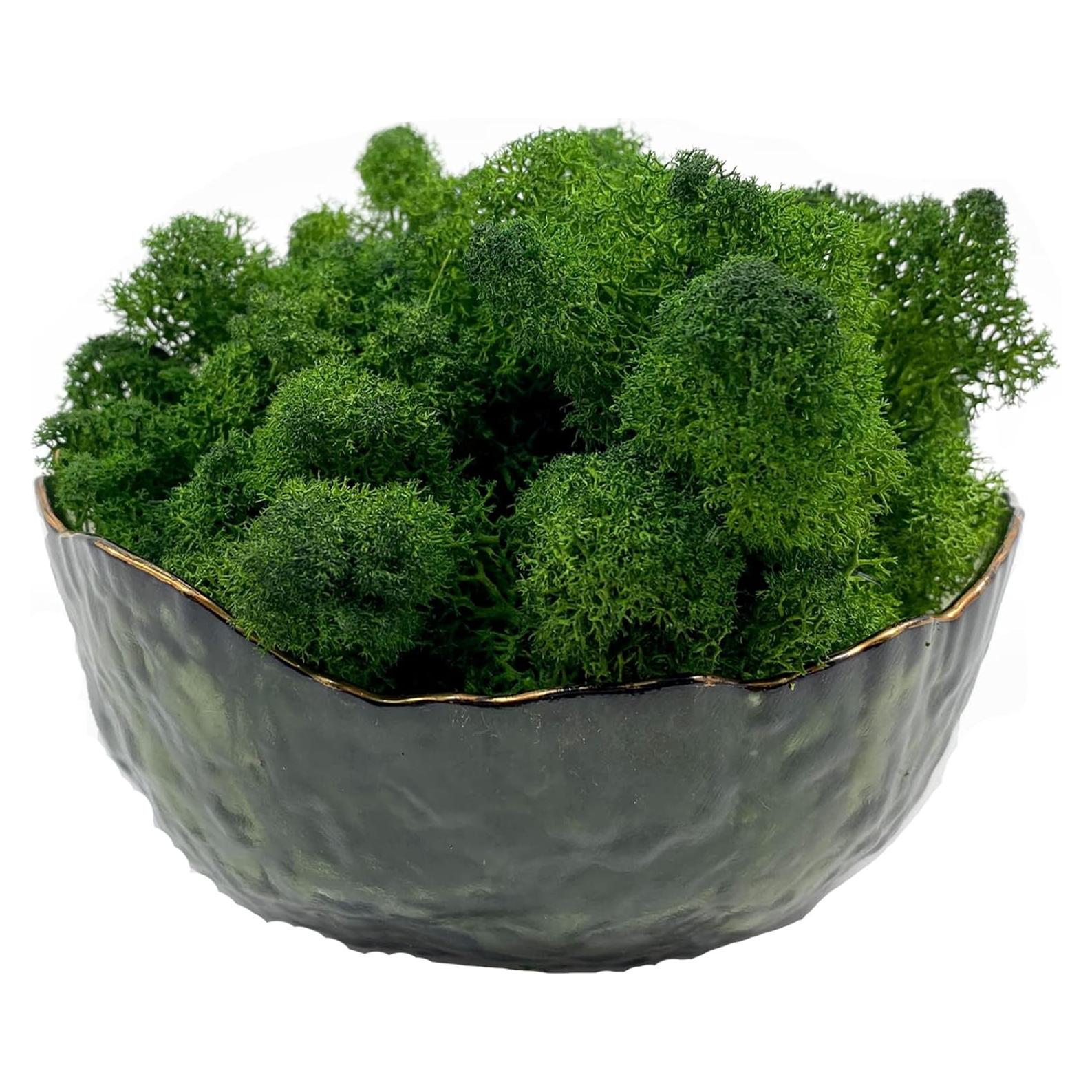 Musgo Preservado Gusaloo 99.22g Verde Natural para Decoración