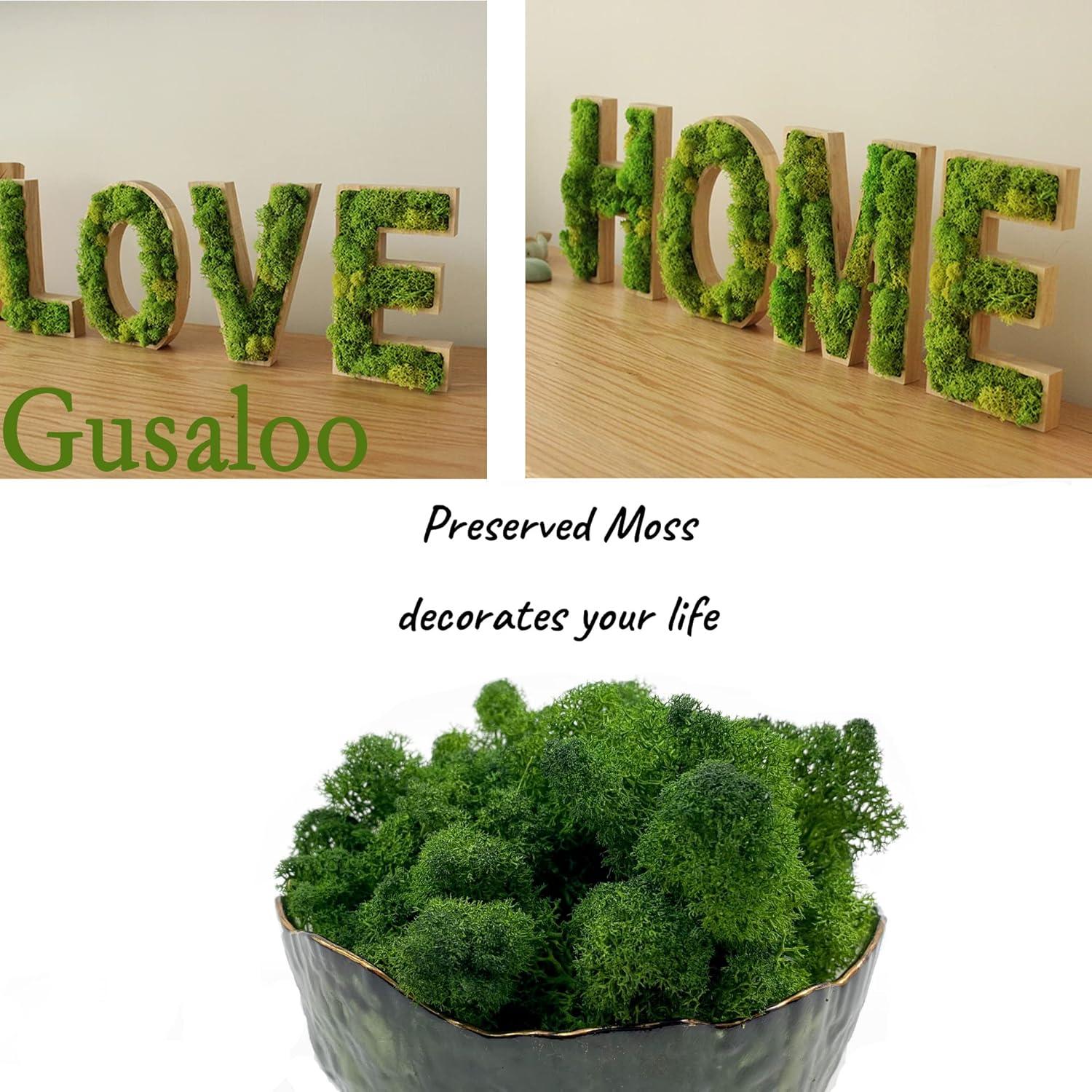 Musgo Preservado Gusaloo 99.22g Verde Natural para Decoración