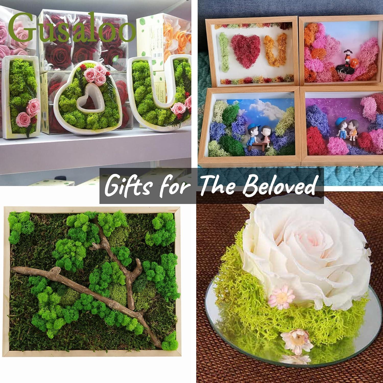 Musgo Preservado Gusaloo 99.22g Verde Natural para Decoración