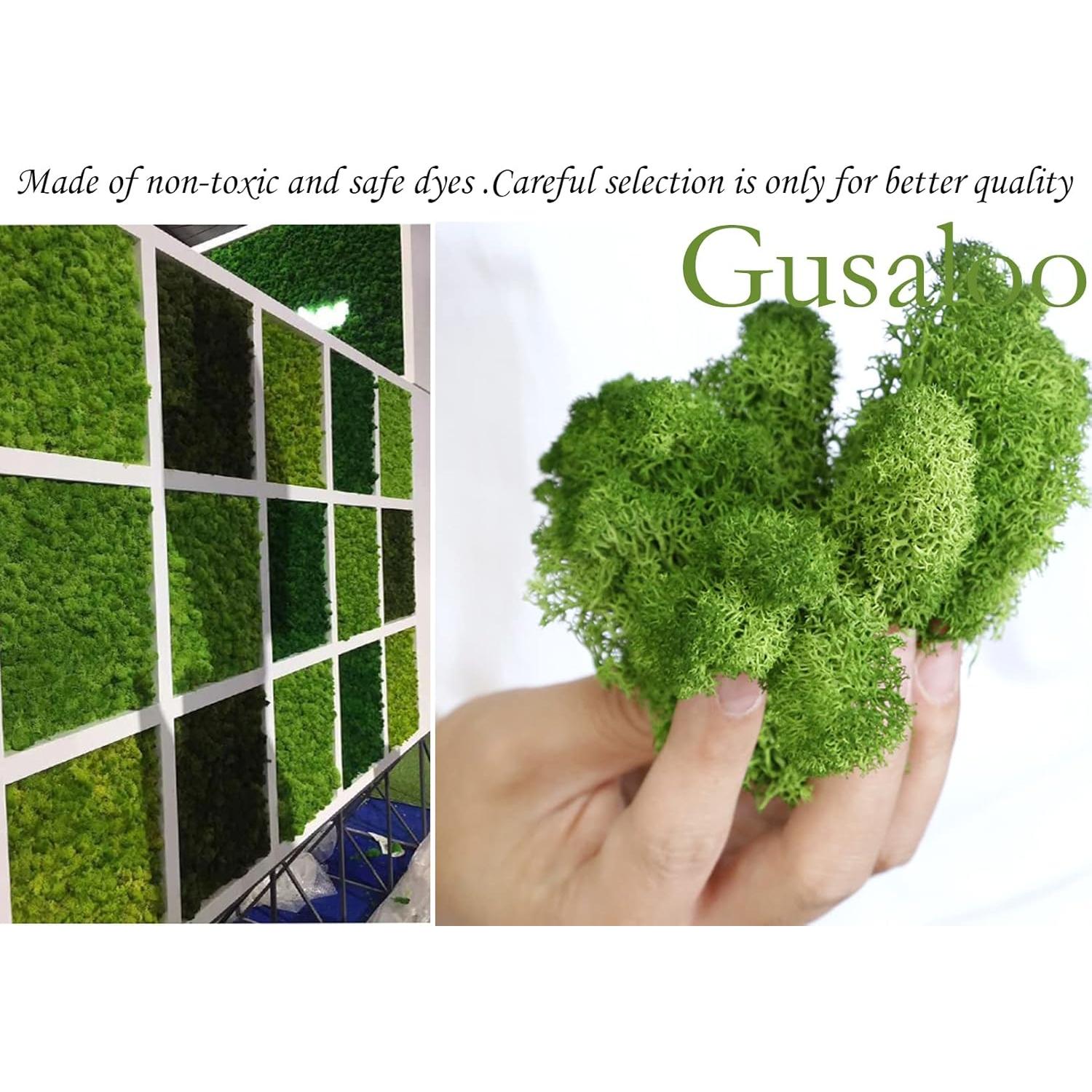 Musgo Preservado Gusaloo 99.22g Verde Natural para Decoración