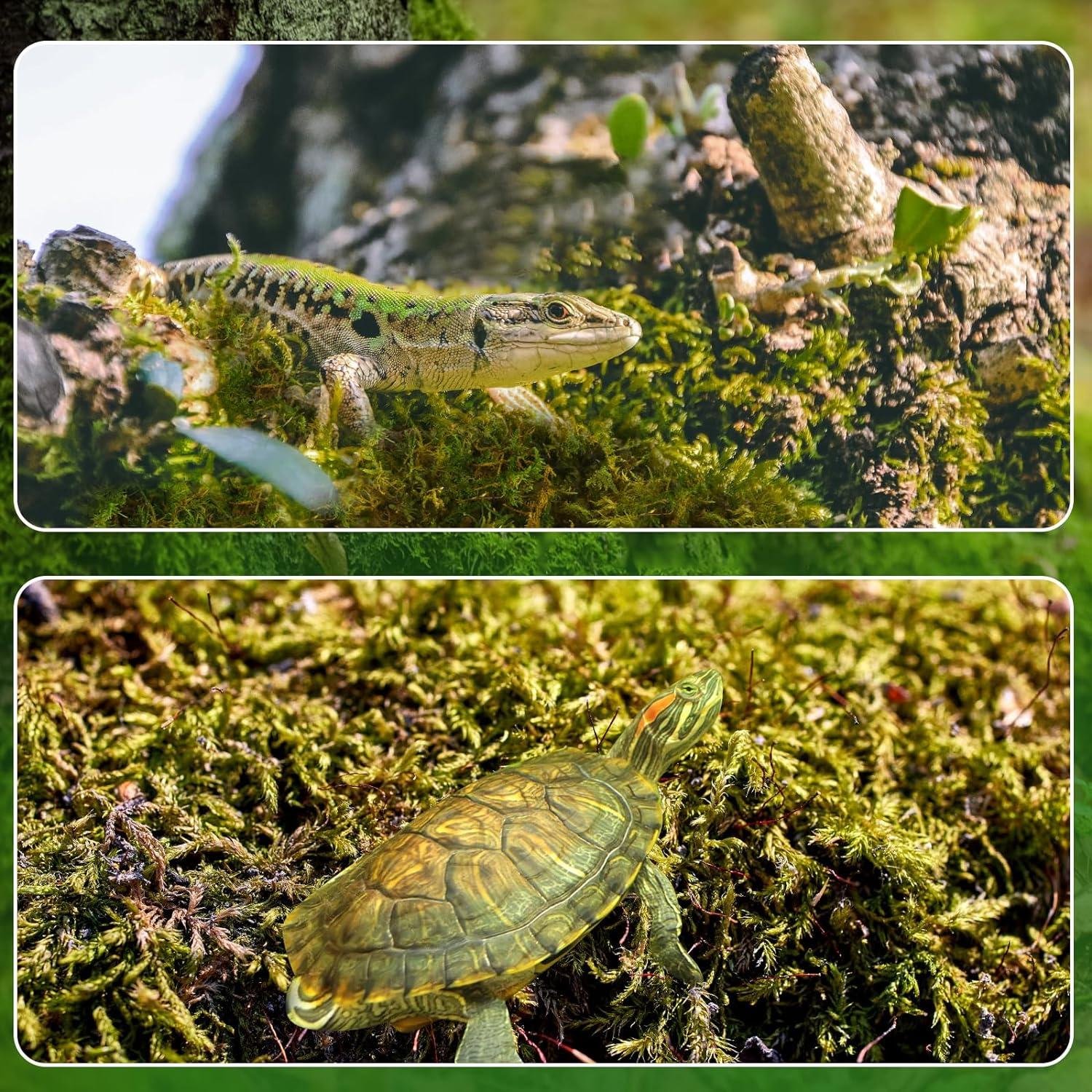 Musgo Sphagnum Seco Natural Doter 1 Paquete 5 qt para Plantas