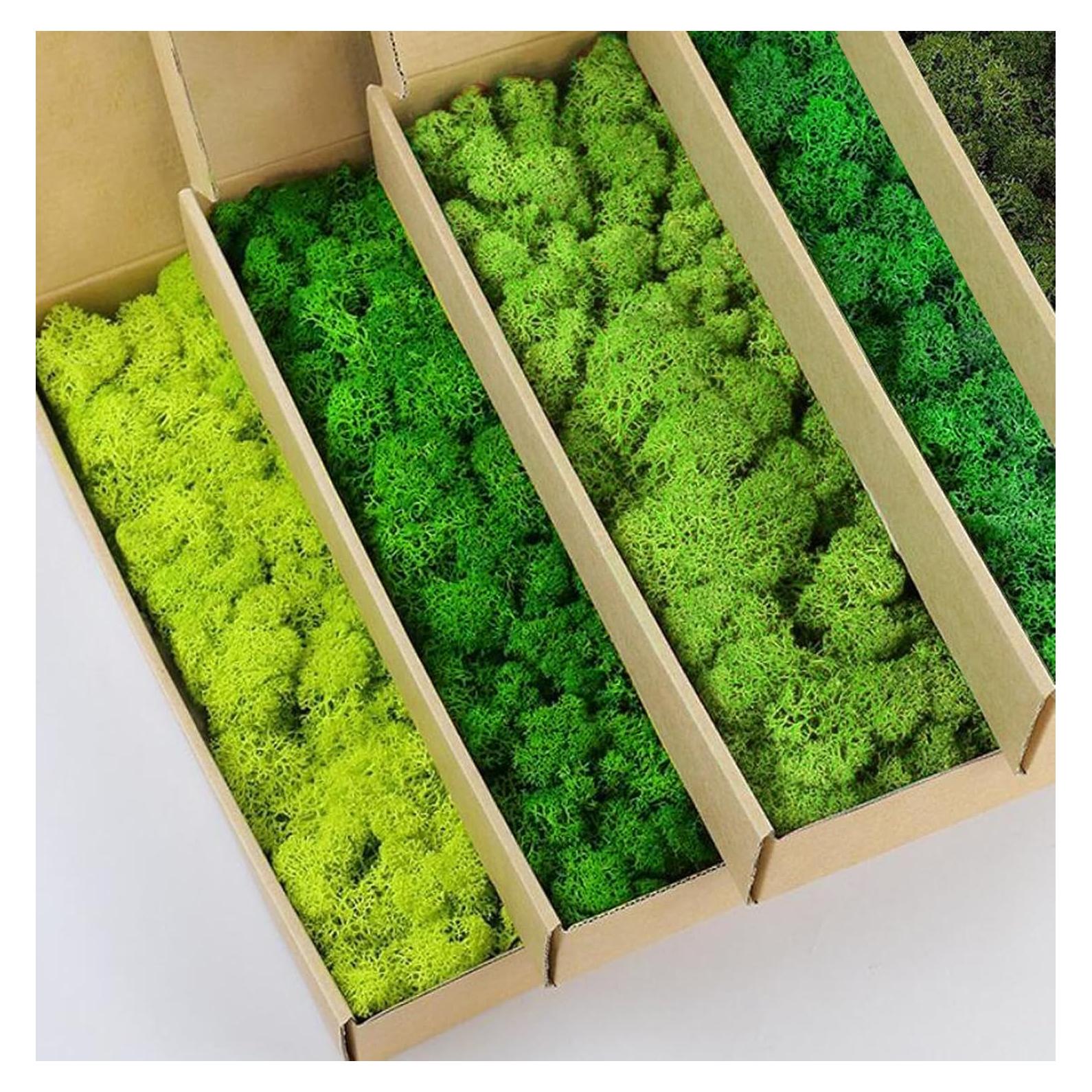 Musgo de Reno Preservado Verde Natural SZYD 0.45 kg Decoración