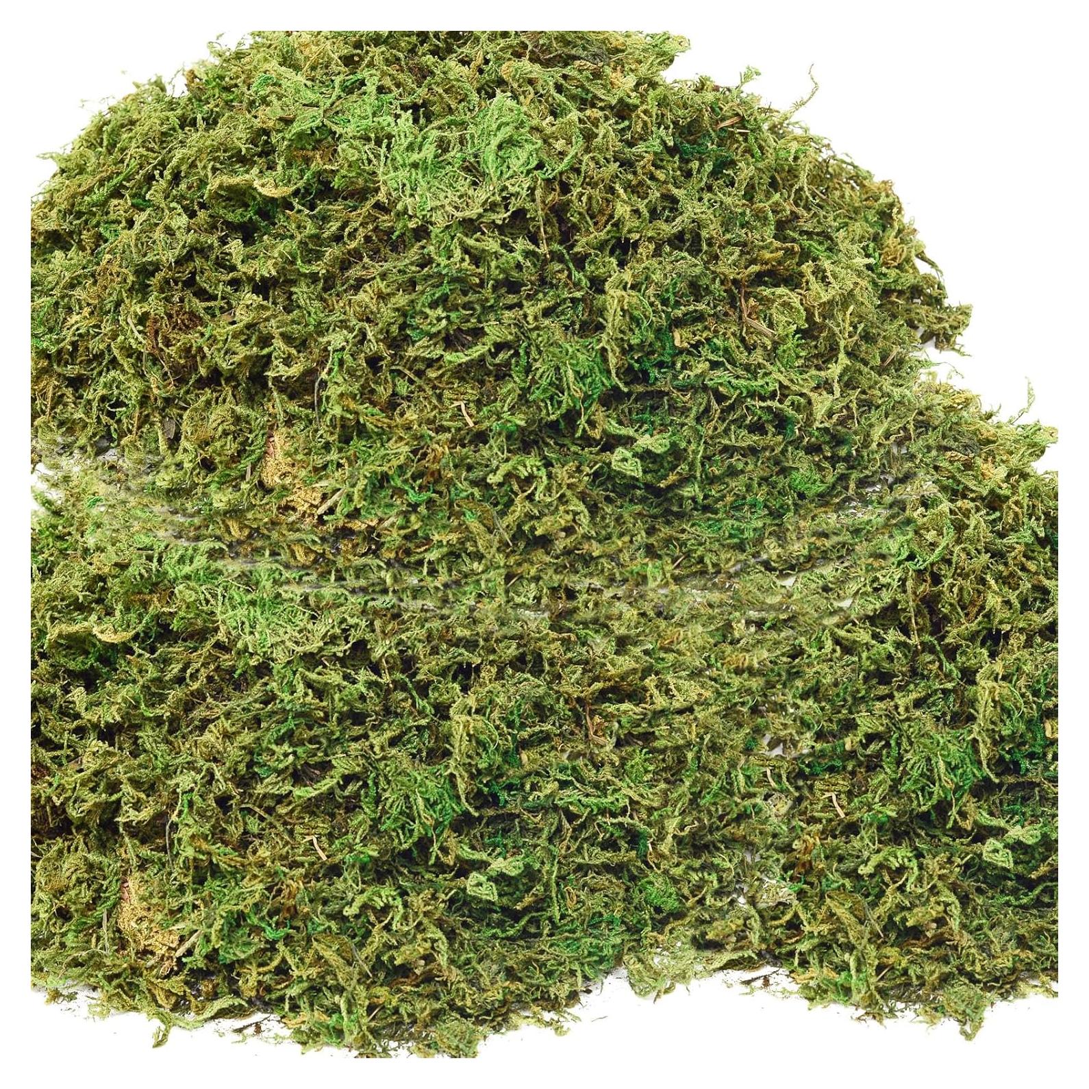 Musgo Falso Verde ZYAPA 540g para Manualidades y Decoración