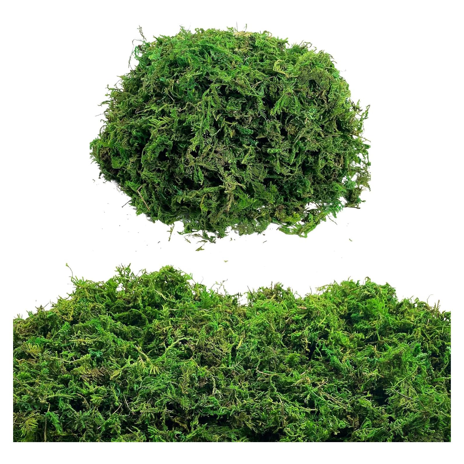 Musgo Seco Gusaloo Verde 100g para Manualidades y Decoración