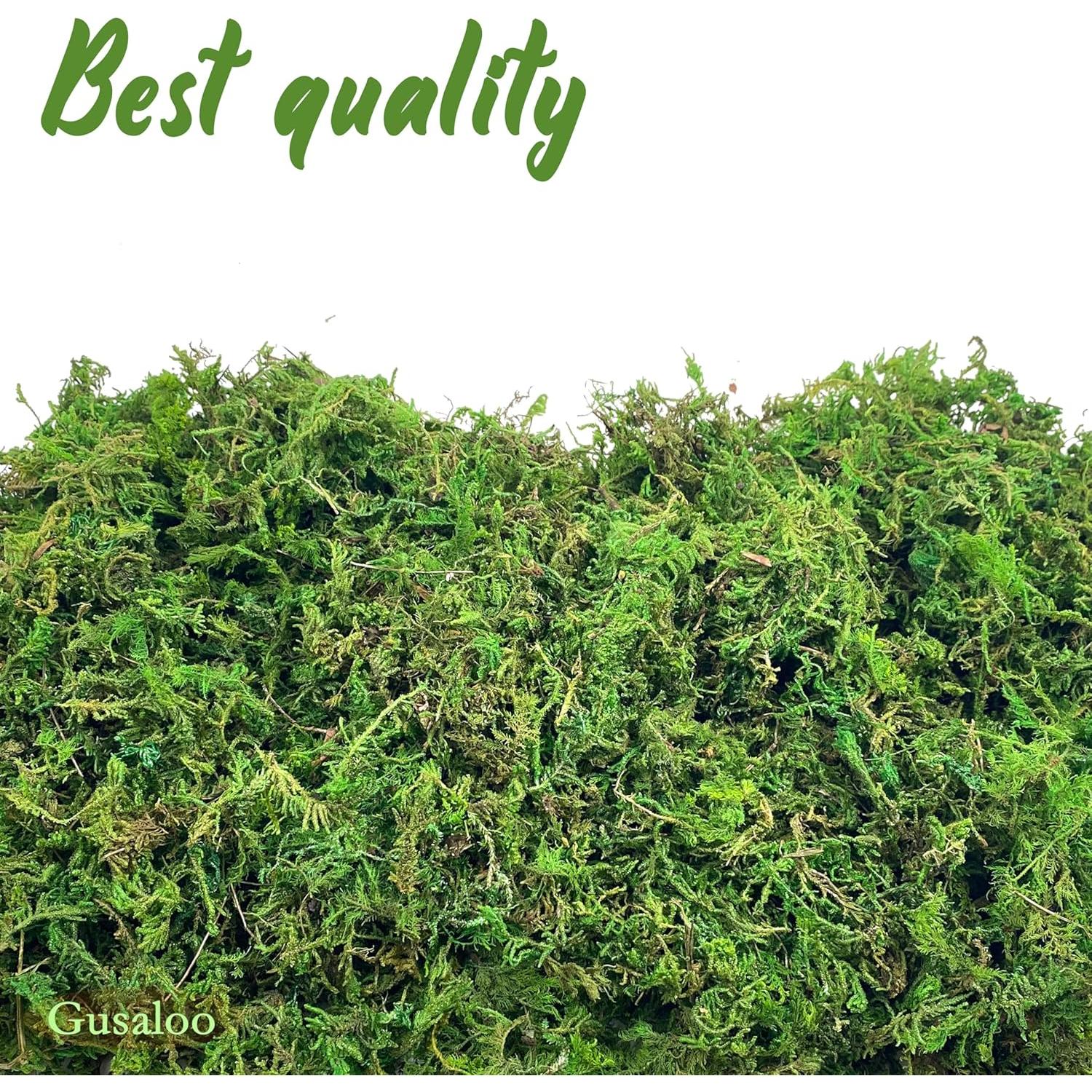 Musgo Seco Gusaloo Verde 100g para Manualidades y Decoración