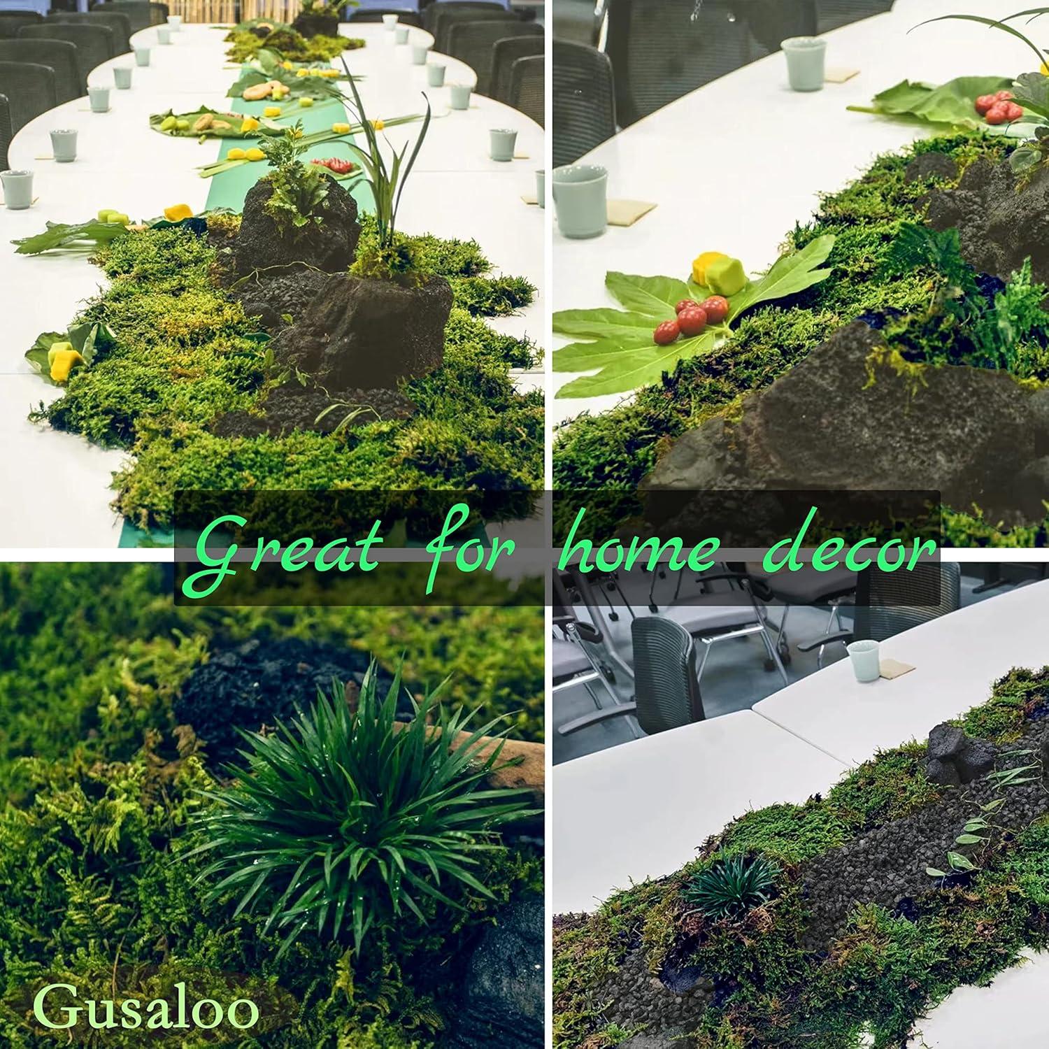 Musgo Seco Gusaloo Verde 100g para Manualidades y Decoración