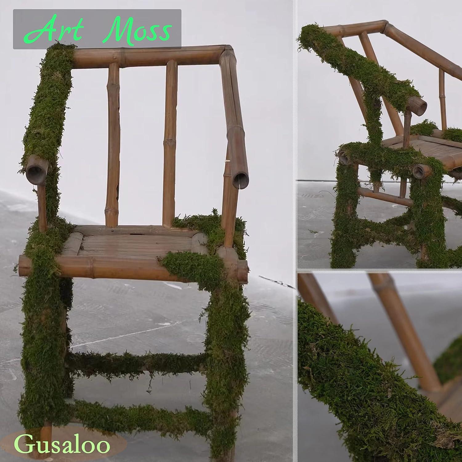 Musgo Seco Gusaloo Verde 100g para Manualidades y Decoración