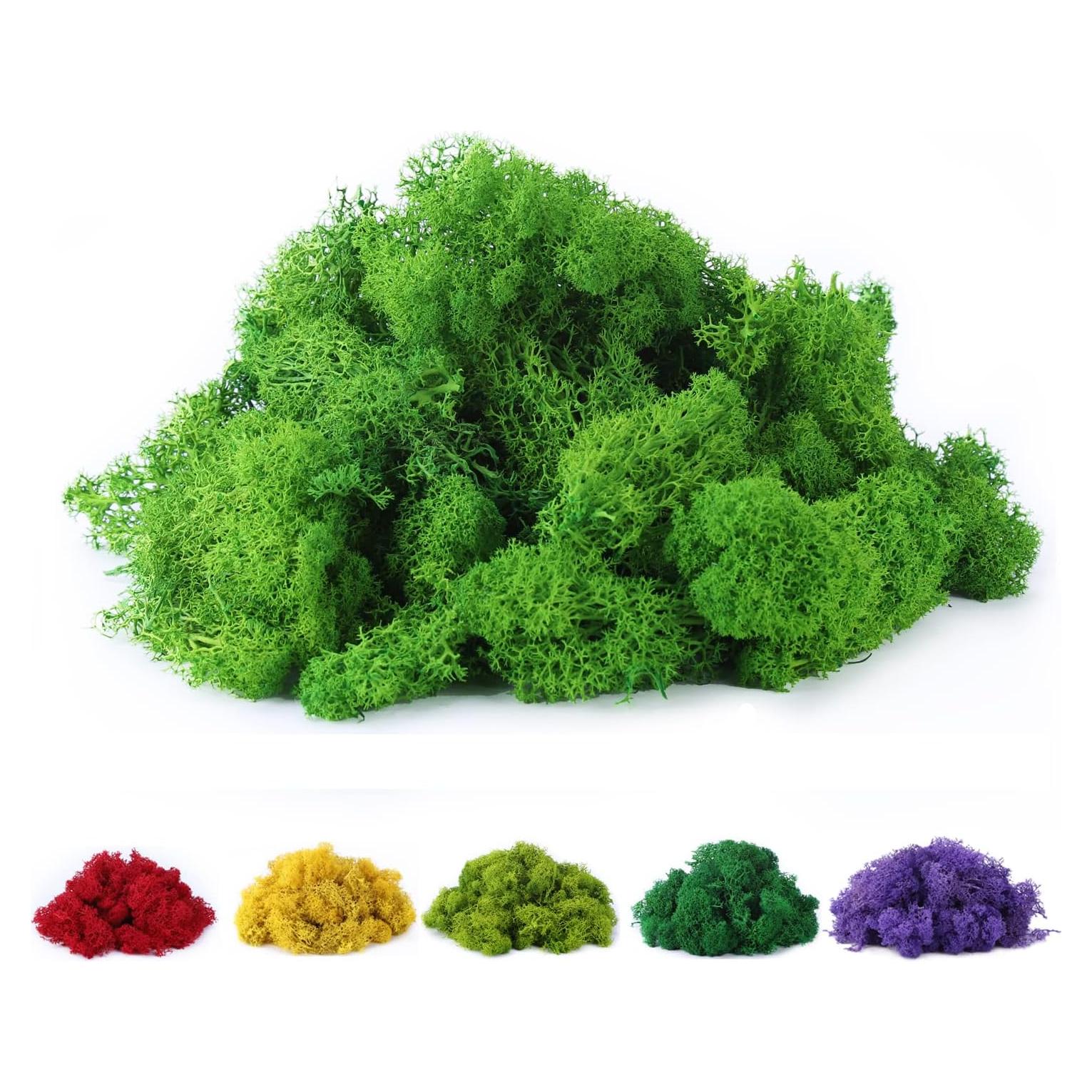 Musgo Falso Preservado DAZUINIAO 99.7g Verde para Manualidades