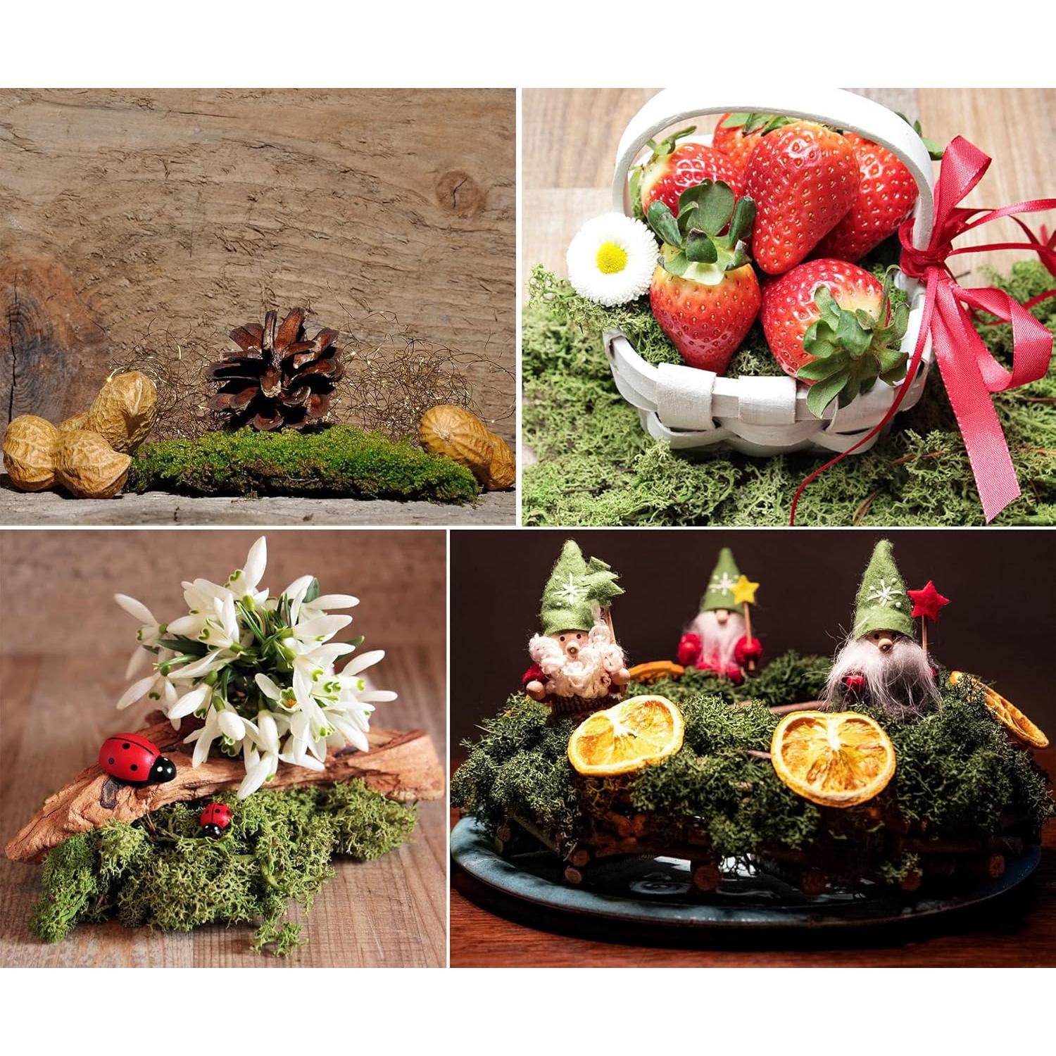 Musgo Falso Preservado DAZUINIAO 99.7g Verde para Manualidades