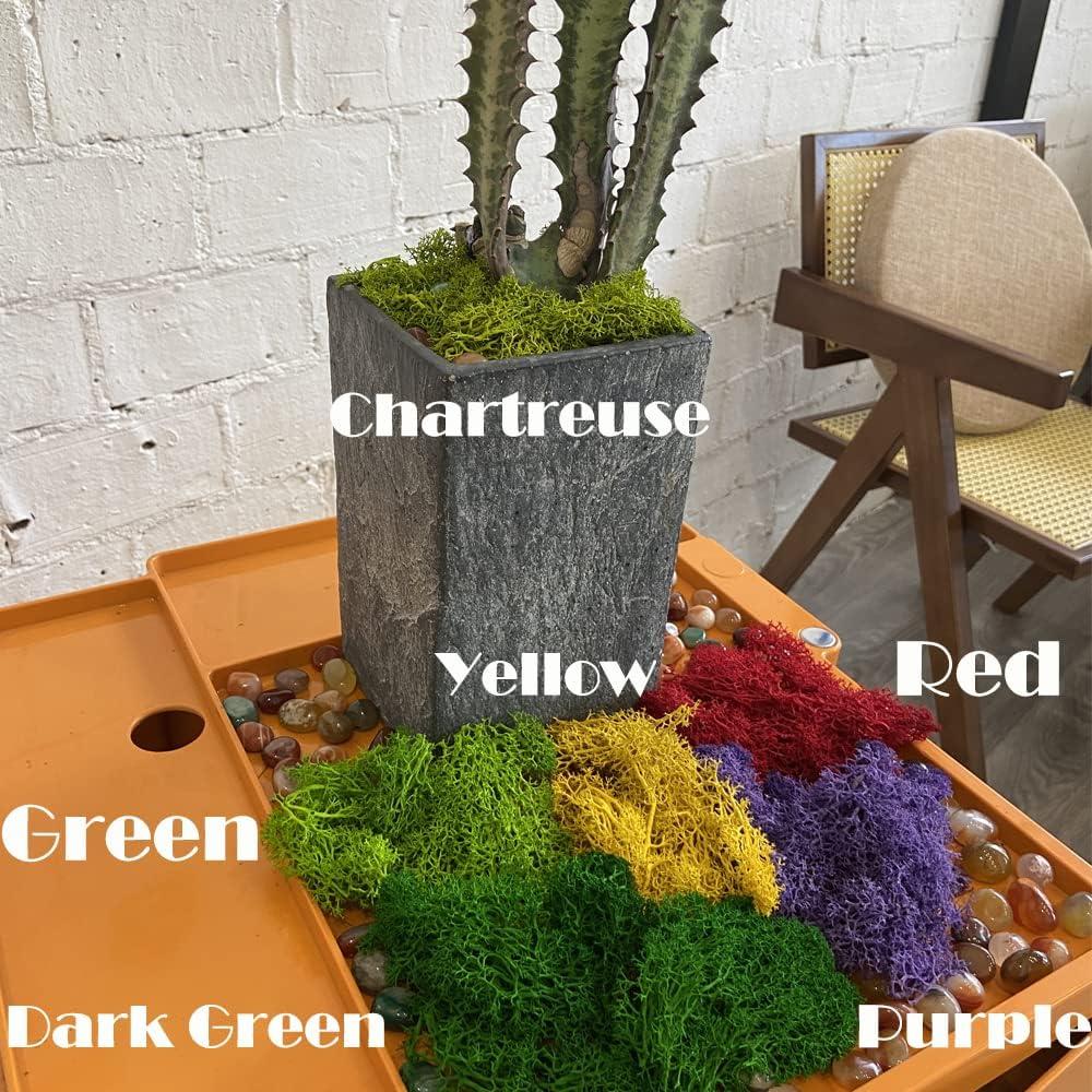 Musgo Falso Preservado DAZUINIAO 99.7g Verde para Manualidades