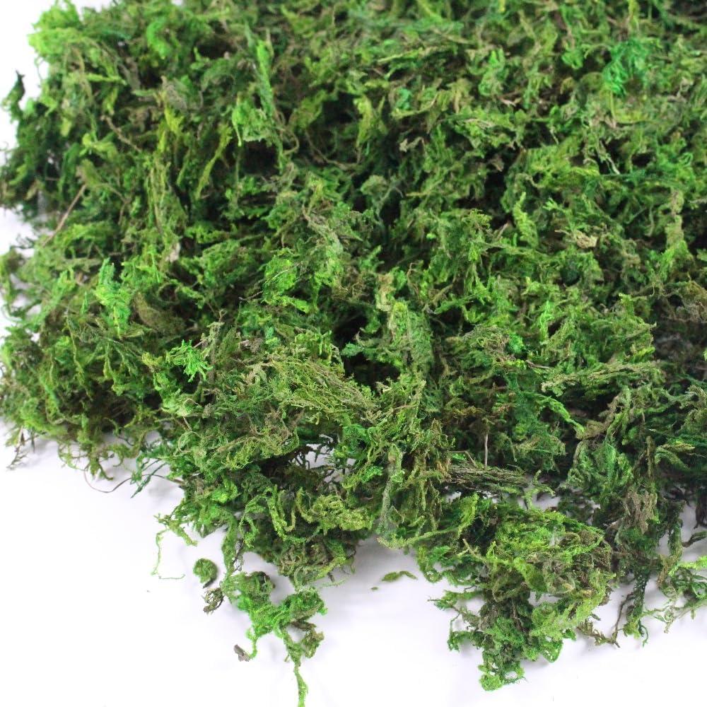 Musgo Artificial Verde 500 g YGbridge para Decoración y Manualidades