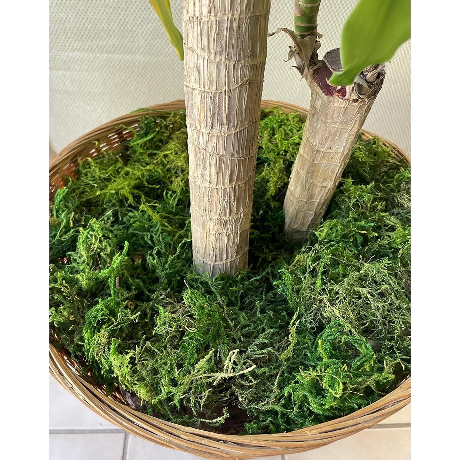 Musgo Artificial Verde 500 g YGbridge para Decoración y Manualidades