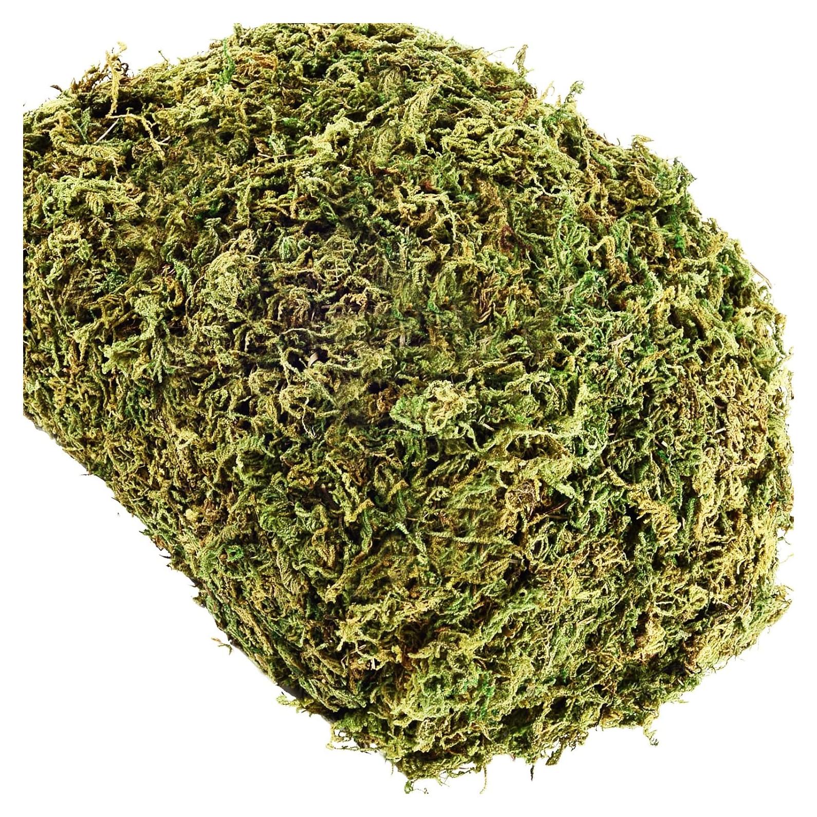 Musgo Artificial Cigoby 10.2 OZ para Jardineras y Manualidades