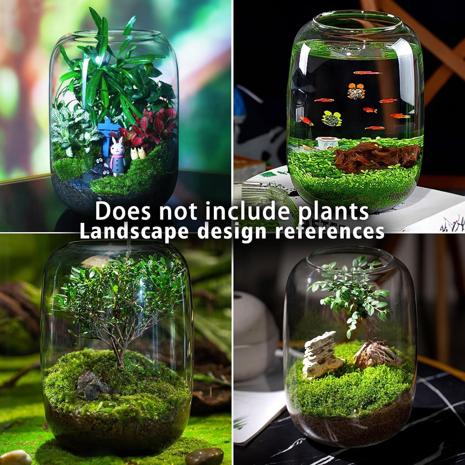 Terrario de Vidrio SARUFO 16cm x 22cm con Lámpara LED