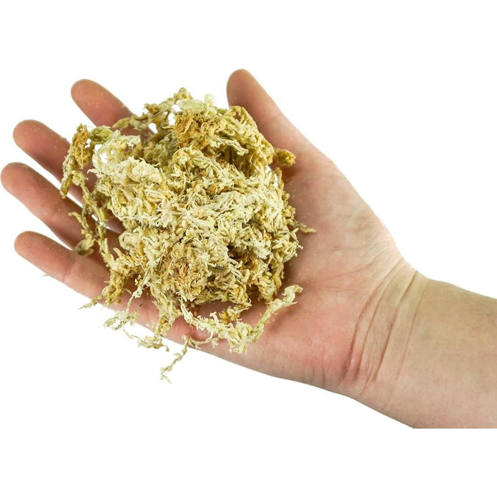 Musgo Sphagnum Natural Besgrow 1 kg - Cultivo de Orquídeas