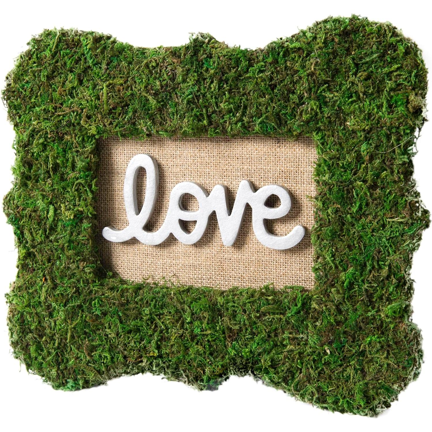 Alfombrilla de Musgo Instantáneo SuperMoss Verde 45.72x40.64 cm