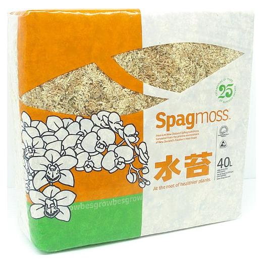 Musgo Sphagnum Premium Besgrow 500g - Ideal para Orquídeas