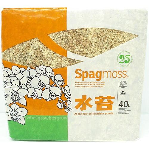 Musgo Sphagnum Premium Besgrow 500g - Ideal para Orquídeas