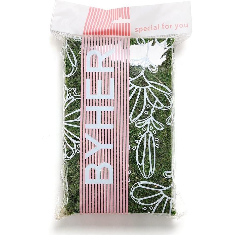 Musgo Conservado Byher 92926 Verde Fresco 450 g