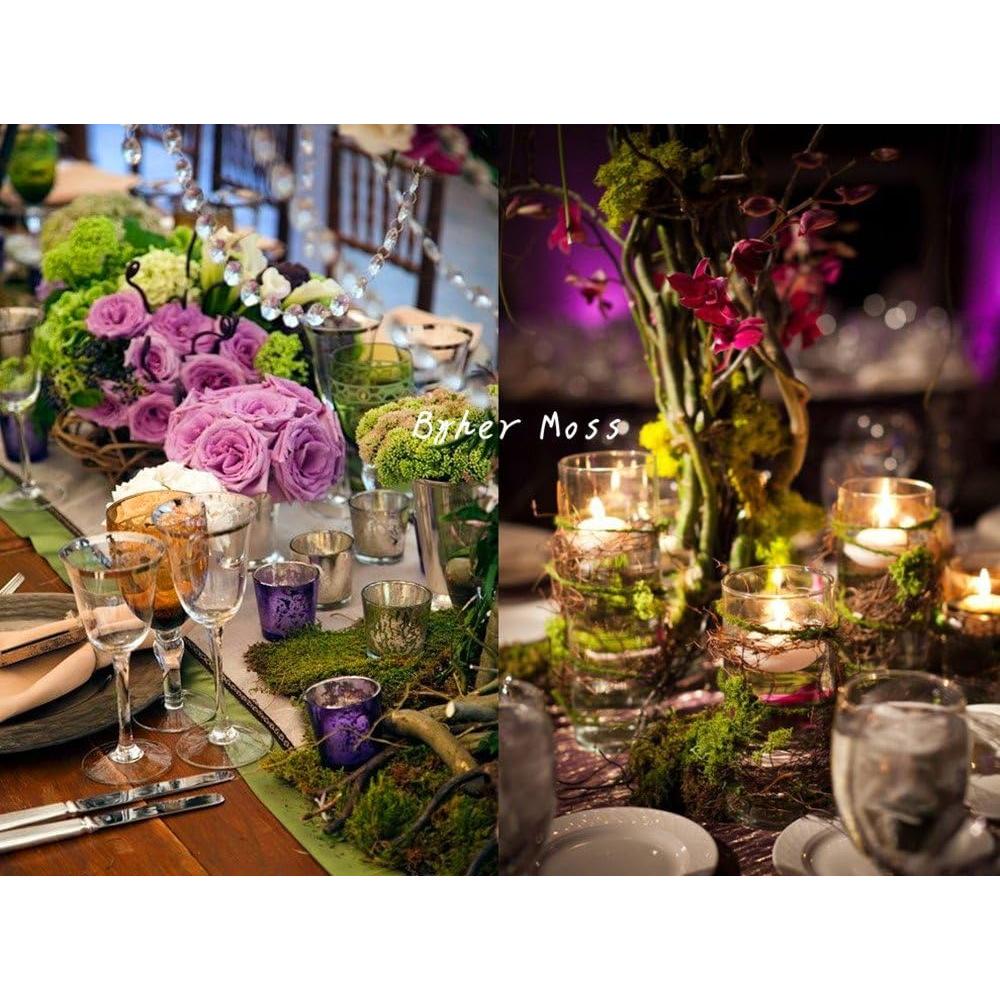 Musgo Conservado Byher 92926 Verde Fresco 450 g