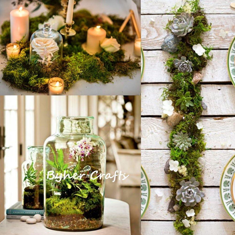 Musgo Conservado Byher 92926 Verde Fresco 450 g