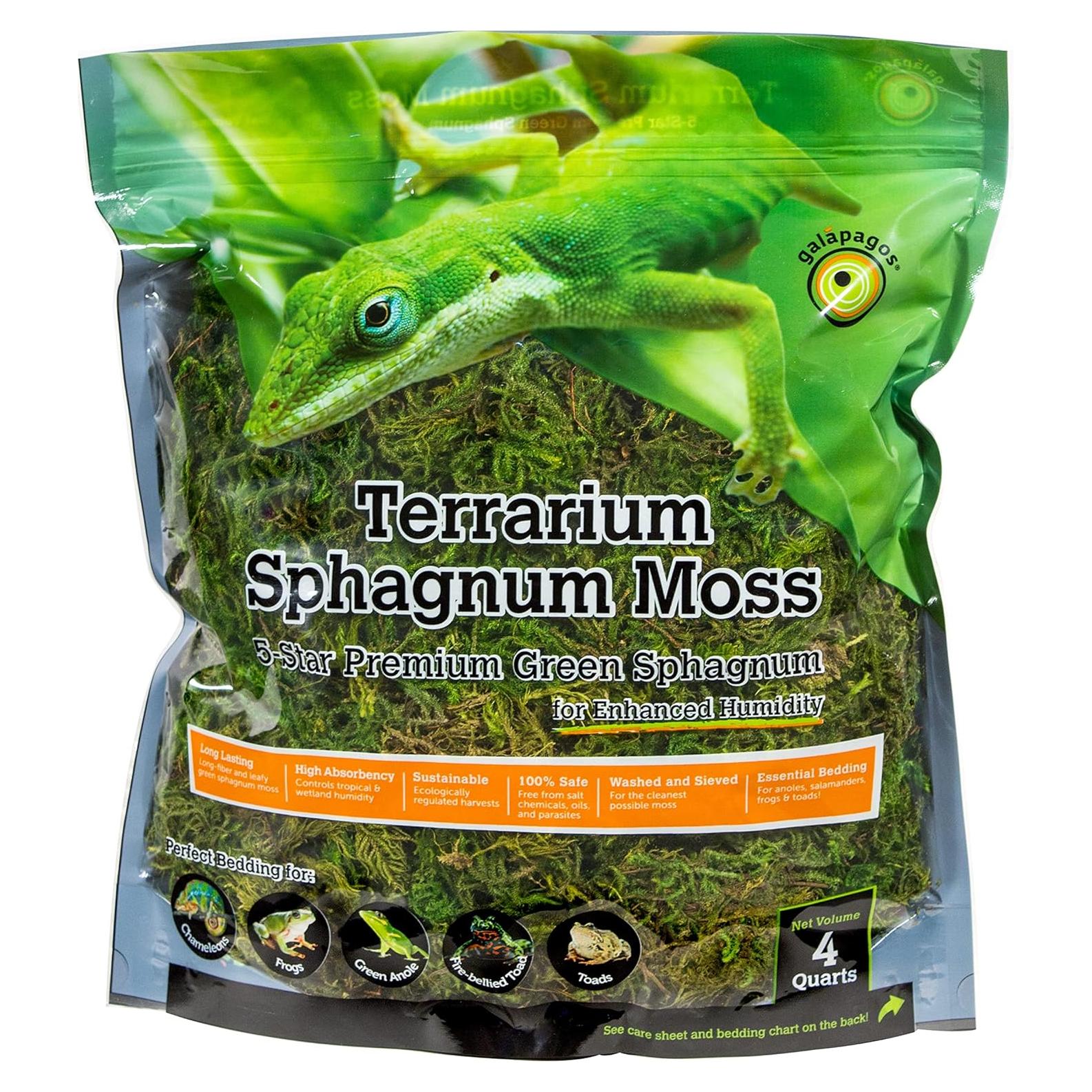 Musgo Sphagnum Verde Galápagos 4QT para Terrario