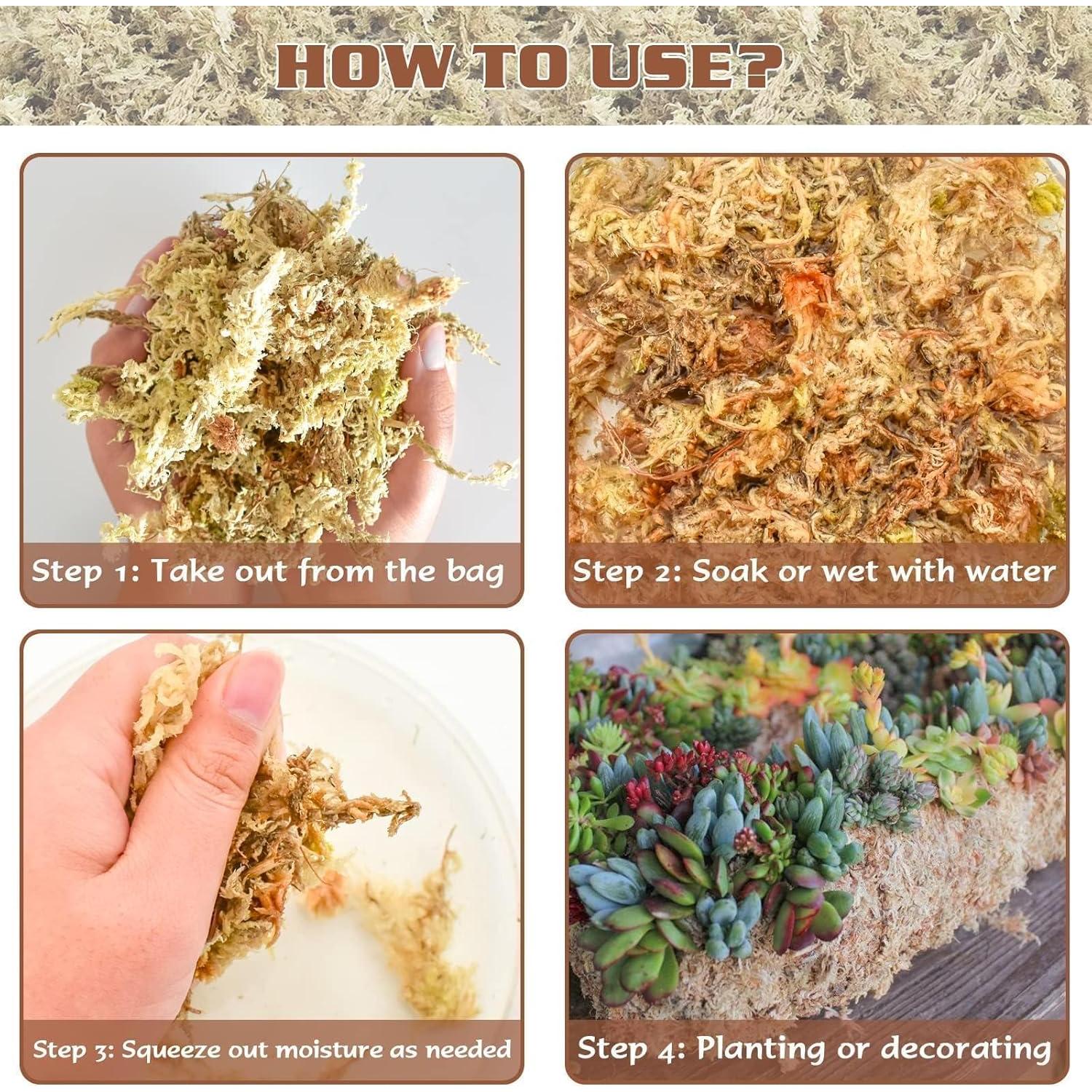 Musgo Sphagnum Premium ZeeDix 85 g para Jardinería y Terrarios