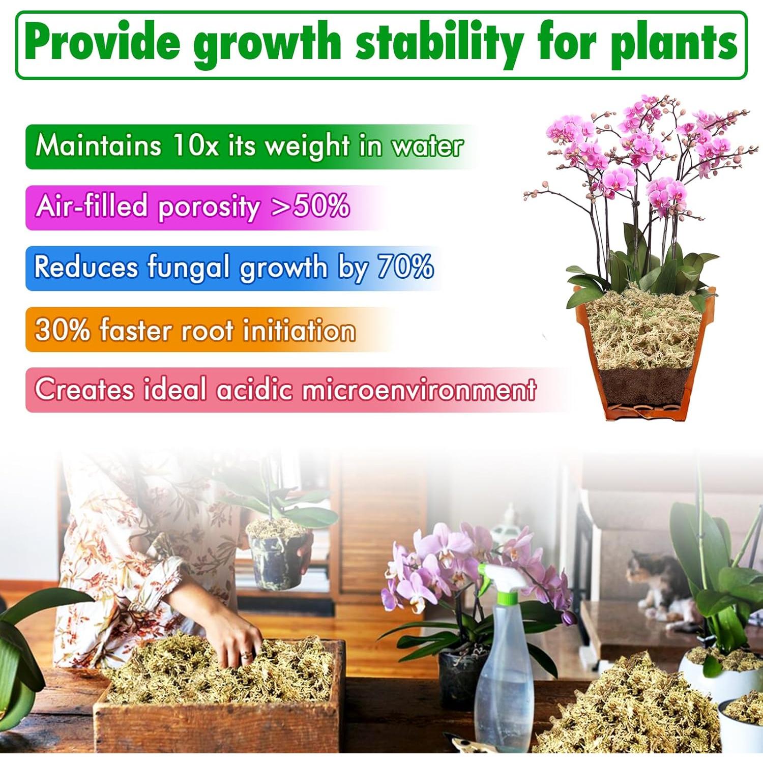 Musgo Sphagnum Premium ZeeDix 85 g para Jardinería y Terrarios