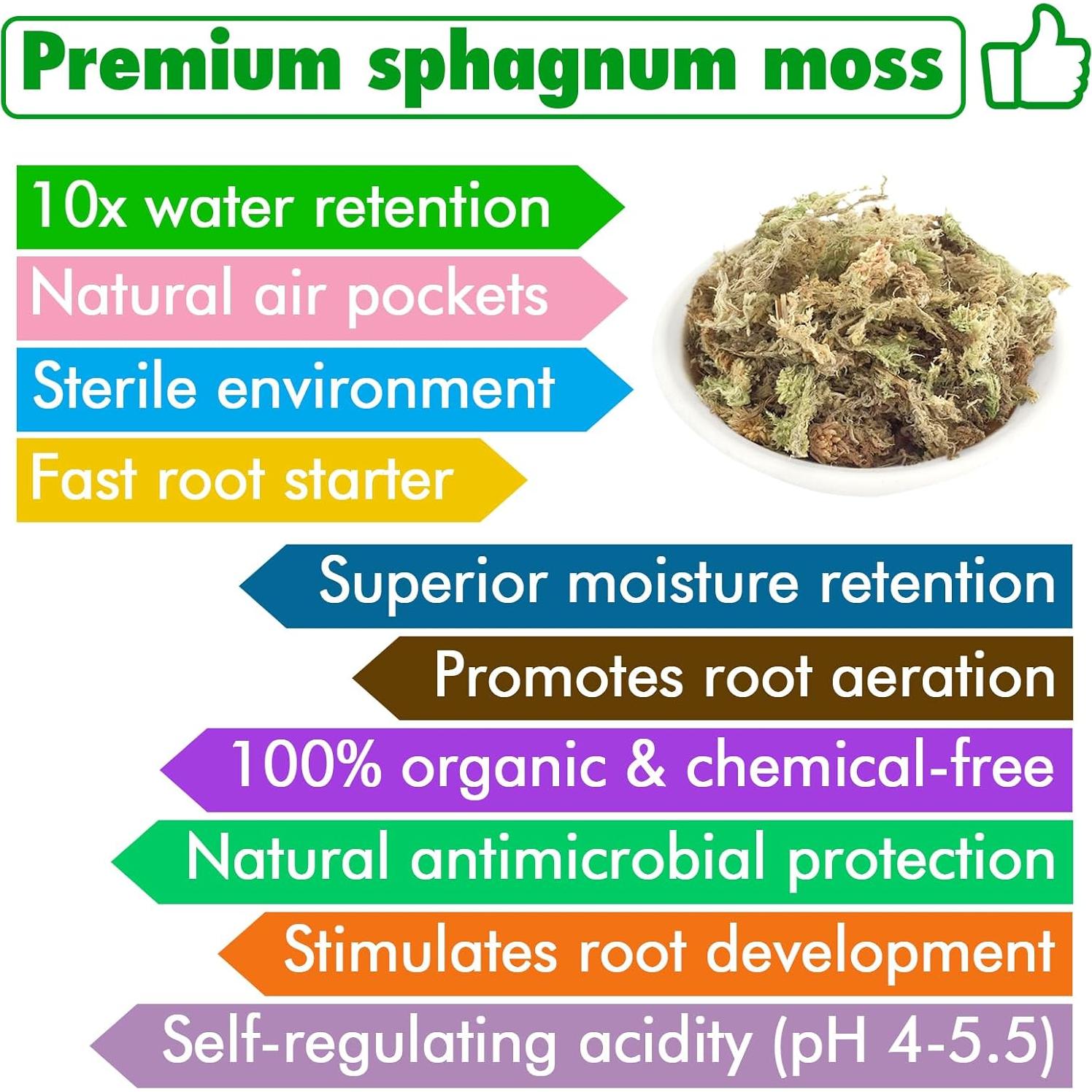 Musgo Sphagnum Premium ZeeDix 85 g para Jardinería y Terrarios