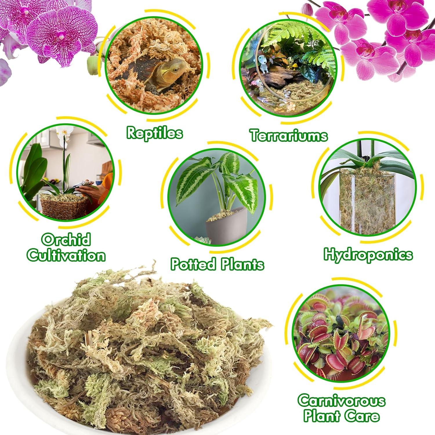 Musgo Sphagnum Premium ZeeDix 85 g para Jardinería y Terrarios