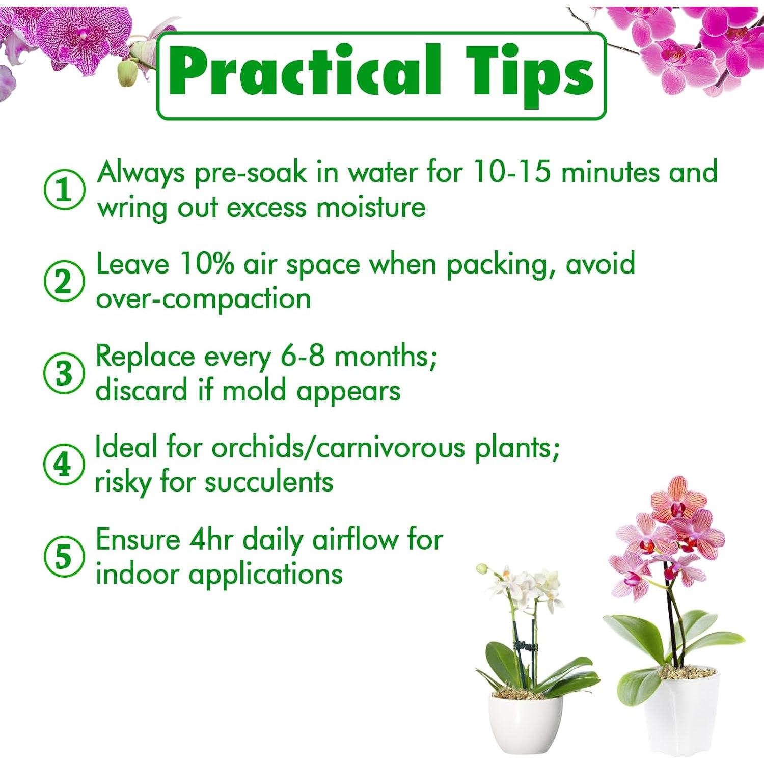 Musgo Sphagnum Premium ZeeDix 85 g para Jardinería y Terrarios