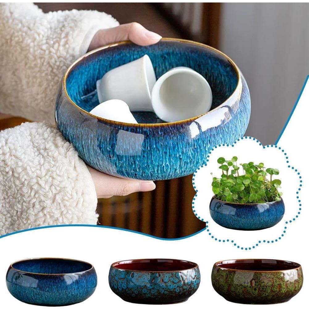 Maceta Hidropónica Smowfes Loto Azul 15.24cm Decorativa