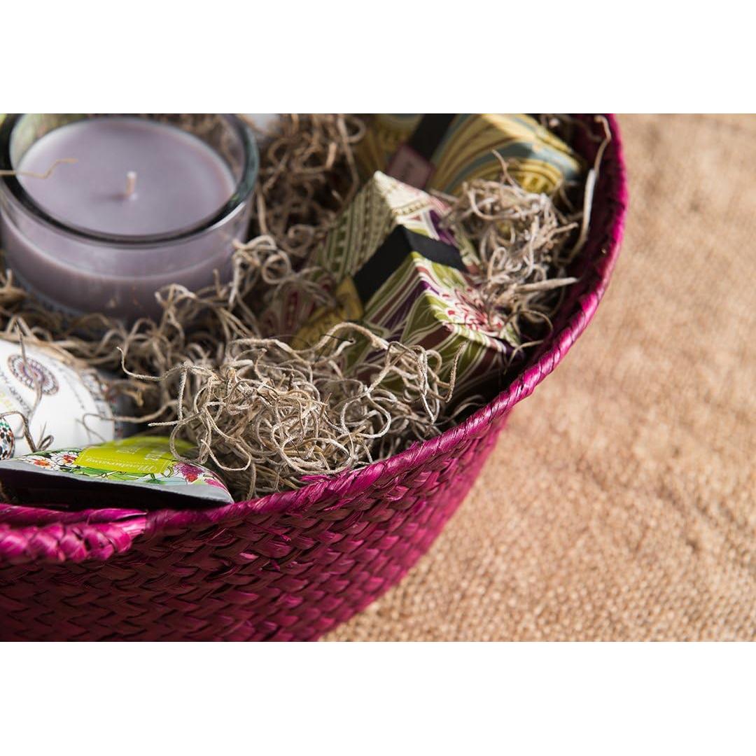 Musgo Español Conservado SuperMoss 227g - Natural y Duradero