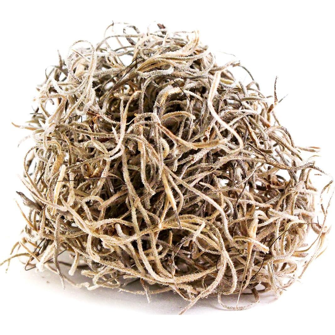 Musgo Español Conservado SuperMoss 227g - Natural y Duradero