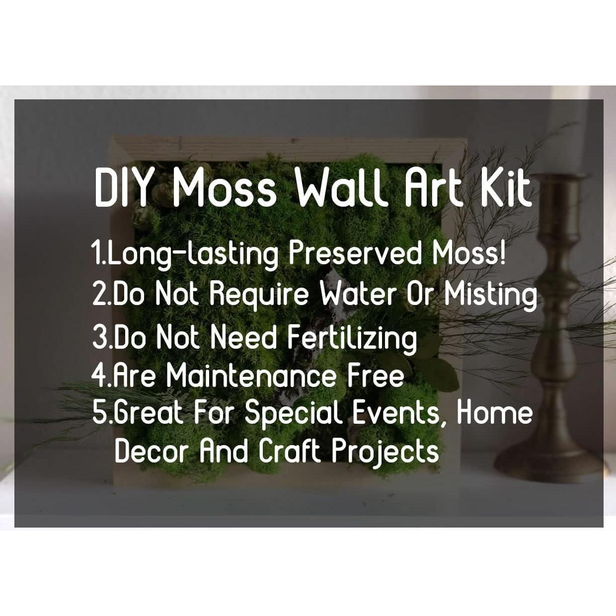 Kit de Musgo Preservado Natural 5 Colores 0.45 kg Prefleur