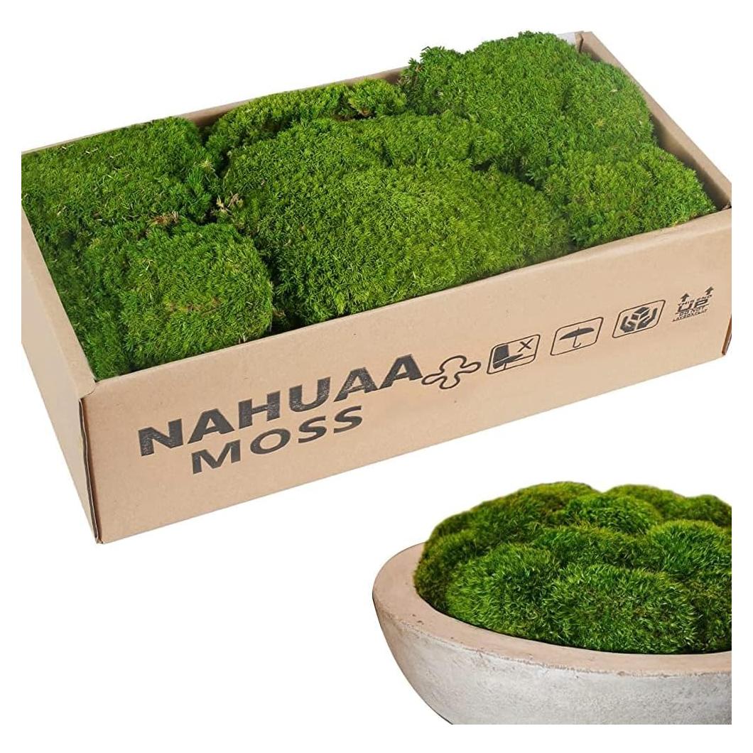 Musgo Preservado NAHUAA 0.20 m² Verde para Decoración