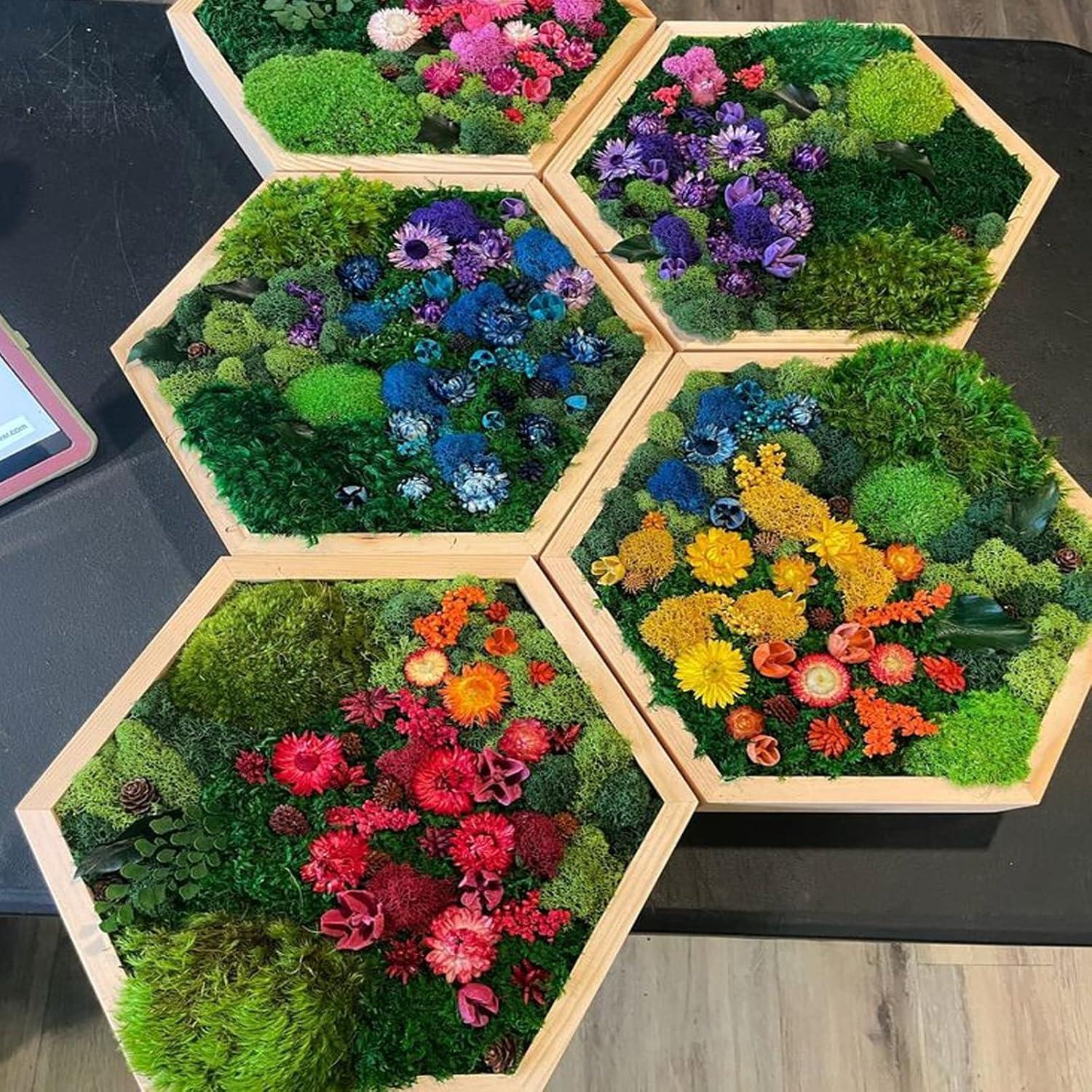 Musgo Preservado NAHUAA 0.20 m² Verde para Decoración