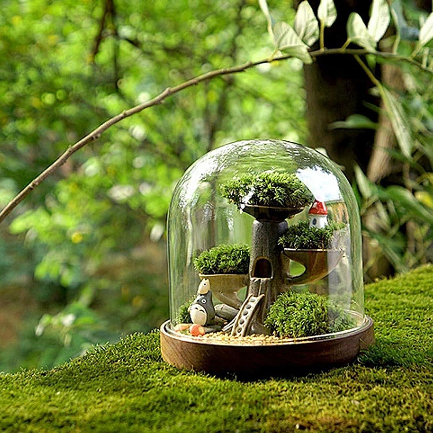 Musgo Preservado NAHUAA 0.20 m² Verde para Decoración