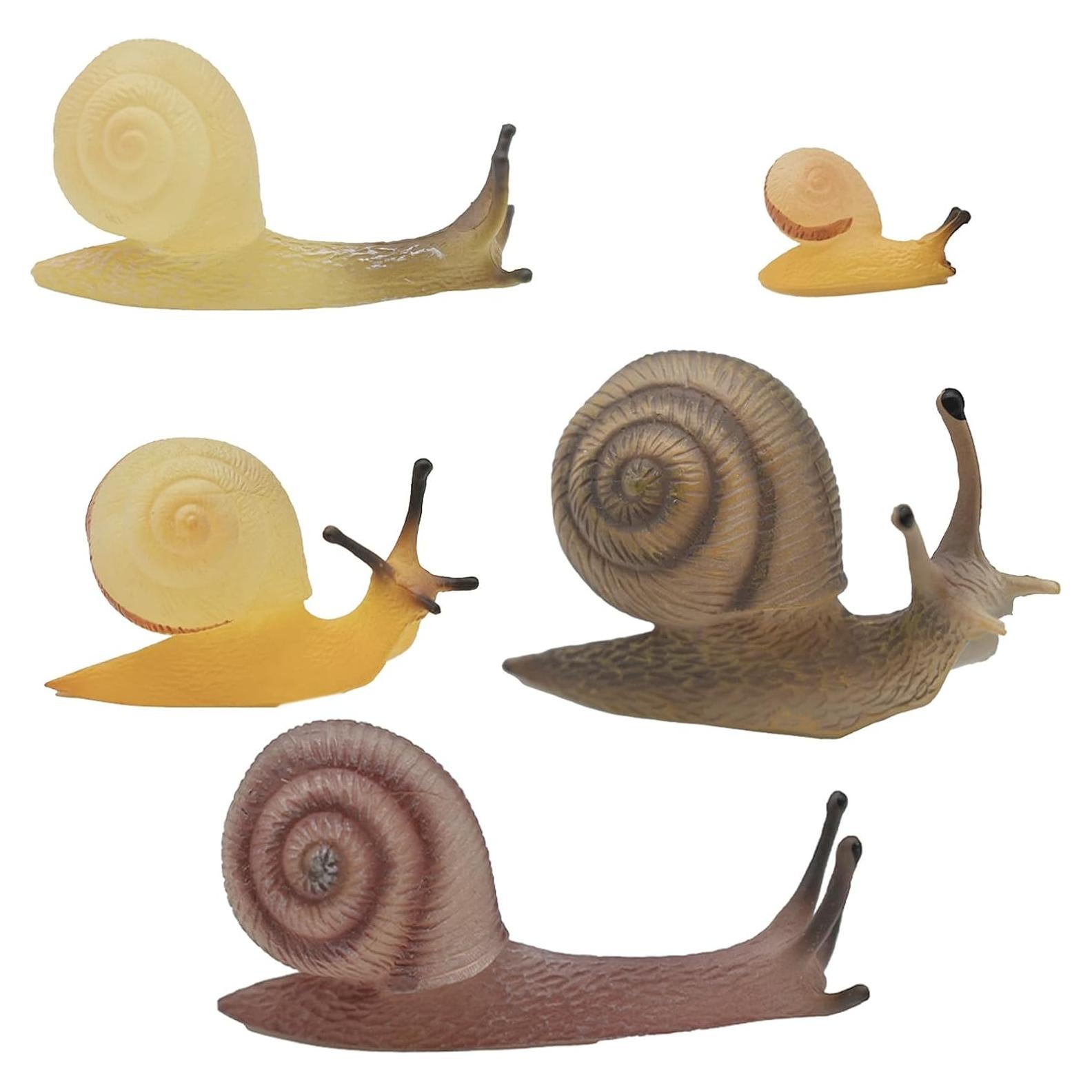 5 Figuras de Caracol Miniatura Pinenjoy para Jardín y Manualidades