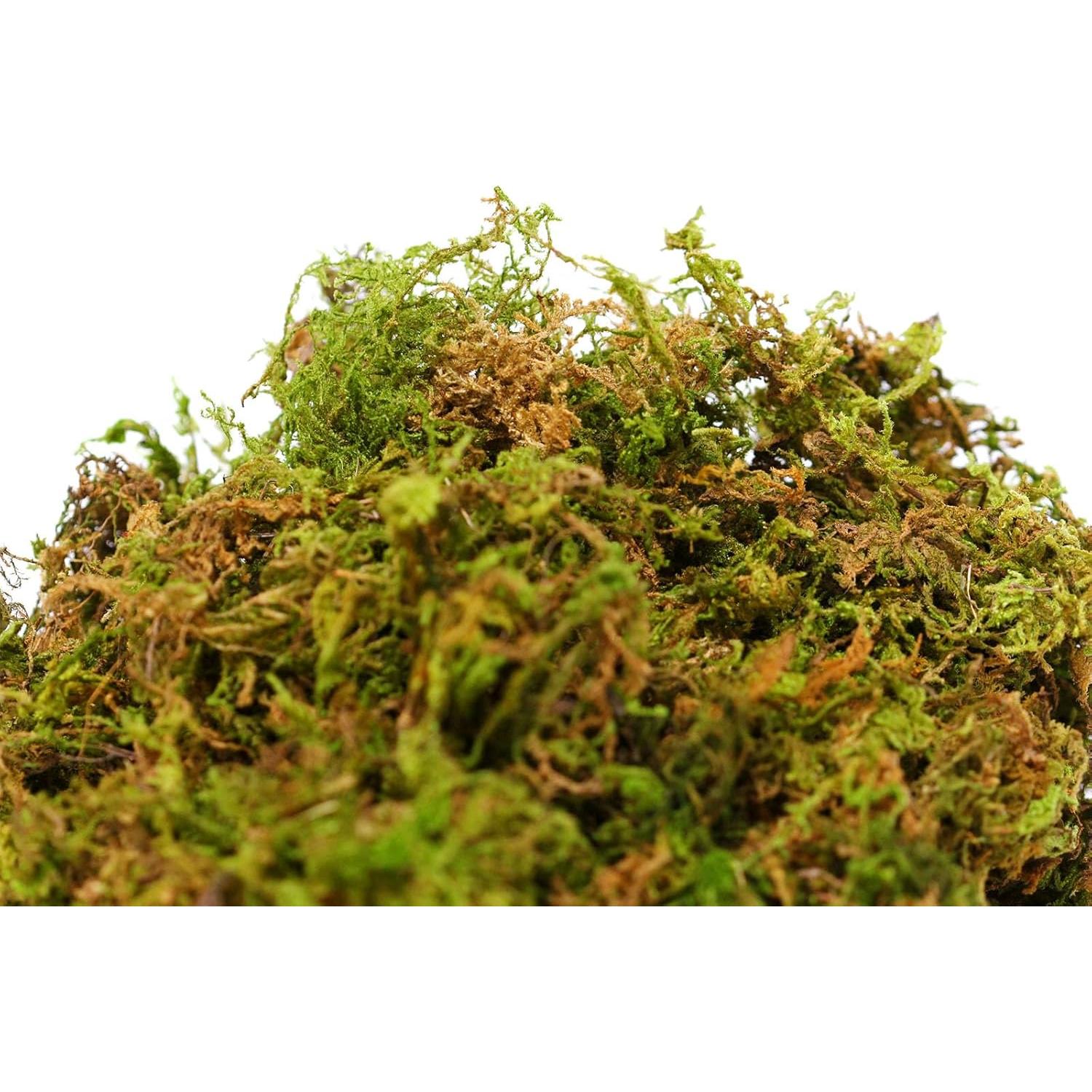 Musgo de Montaña Seco SuperMoss 2.27kg - Acondicionador de Suelo