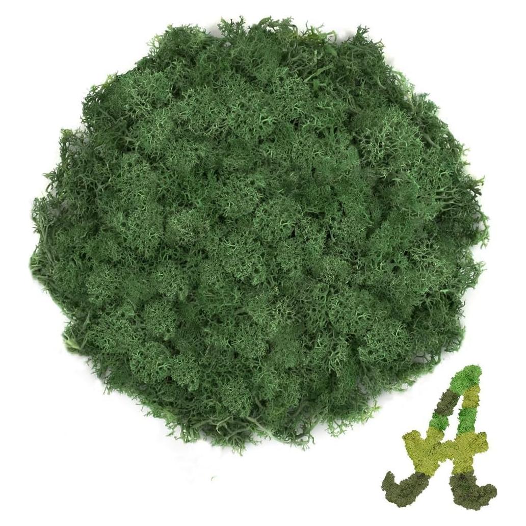 Musgo de Reno Preservado TCYPUHL 99.22 g Verde Oscuro