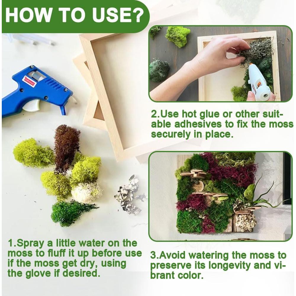 Musgo de Reno Preservado TCYPUHL 99.22 g Verde Oscuro